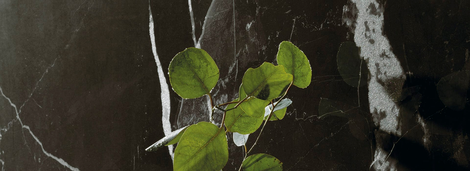 Calacatta Black Luc. 6 mm керамогранит Maxfine 150х300