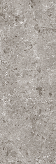 Artic Gris Pul. керамогранит 5.6 mm Coverlam 120х260