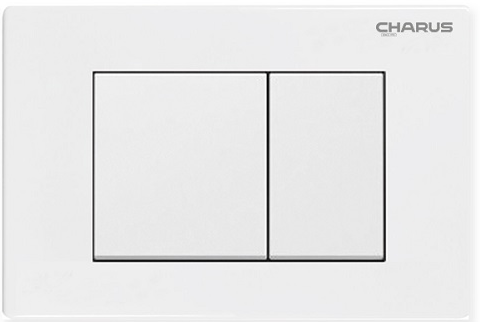 Смывная клавиша Charus Minimalista, двойной смыв, белый глянцевый, пластик, FP.310.11.01