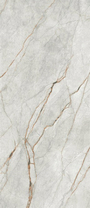 Grey Roots GRE RO6 278 RM керамогранит Imola Ceramica 120х278