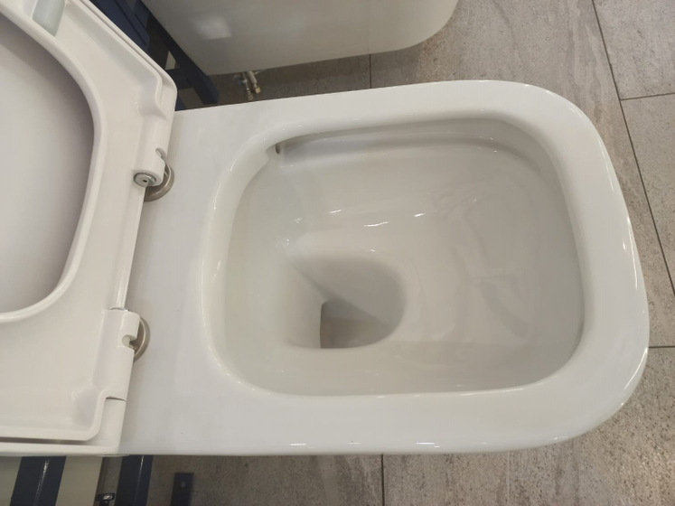 Унитаз WD 390 P подвесной, (550х360х350) микролифт