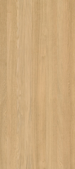 Cadore Arce Nature керамогранит  XLight Porcelanosa 120х270