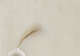 thumb-1