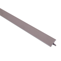 Pro-T Alum Anod PLATA 14 mm профиль 2.5 м Butech
