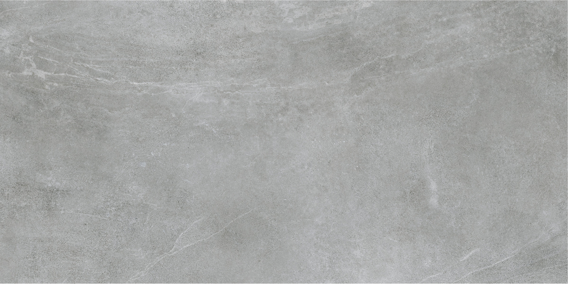 Доломити  Лаваредо Светлый MR матовая 60x120