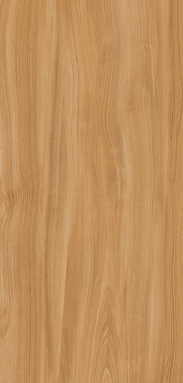 Ewood Camel Nature 6 mm керамогранит XLight Urbatek 120x250