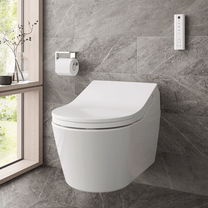 Унитаз подвесной TOTO RX CW542ERY +  WASHLET TCF894CG+SP10695UN