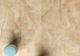 thumb-3