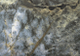 thumb-1