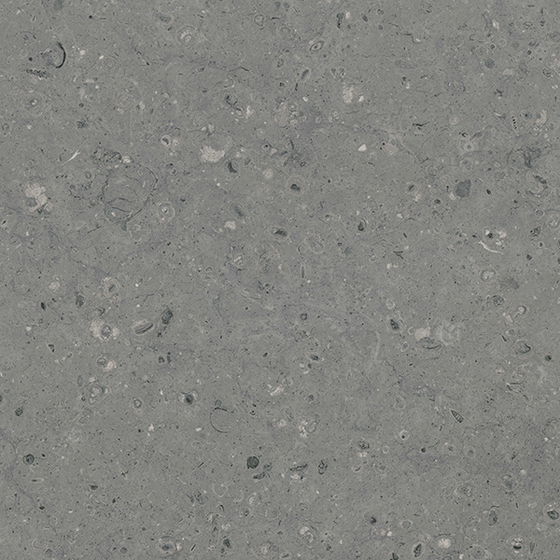 Керамогранит Гранитея G213R Arkaim Grey матовый 60x60