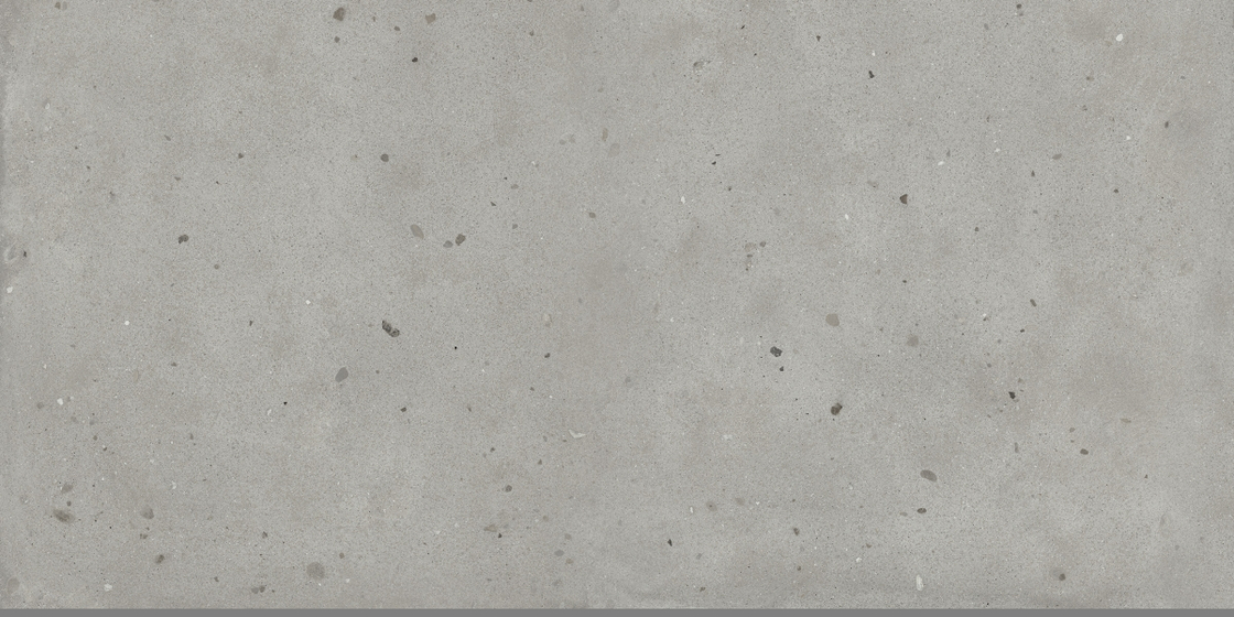 Avantgarde Silver керамогранит Italon 60x120