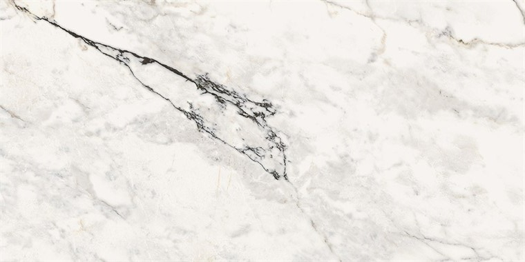 Paonazzetto PAO6 12 RM  керамогранит Lafaenza 60x120