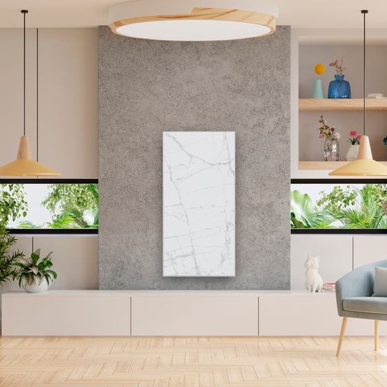 Безынерционная отопительная панель: размер 120х60 550±50 Вт цвет W. CT-120/610015000496/W