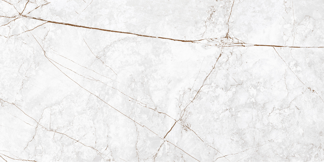 Граните Сандра Белый (White) MR Матовая 60x120