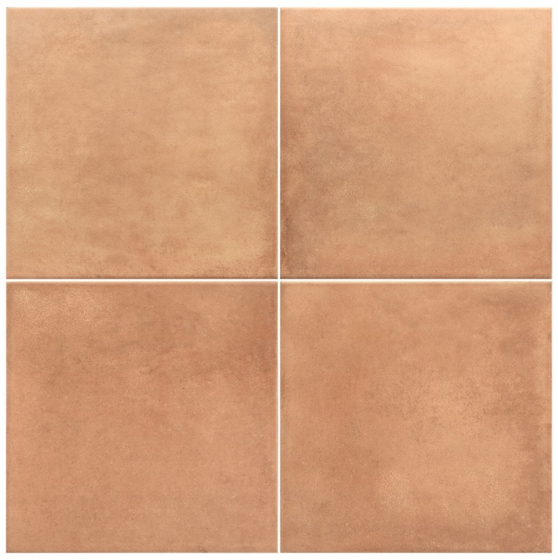 Ares Cotto керамогранит Equipe 20x20