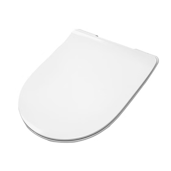 Крышка для унитаза ARTCERAM File 2.0 FLA014 01