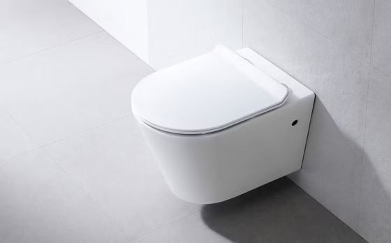 Унитаз Bathco Sintra подвесной 4551 с сиденьем,микролифт