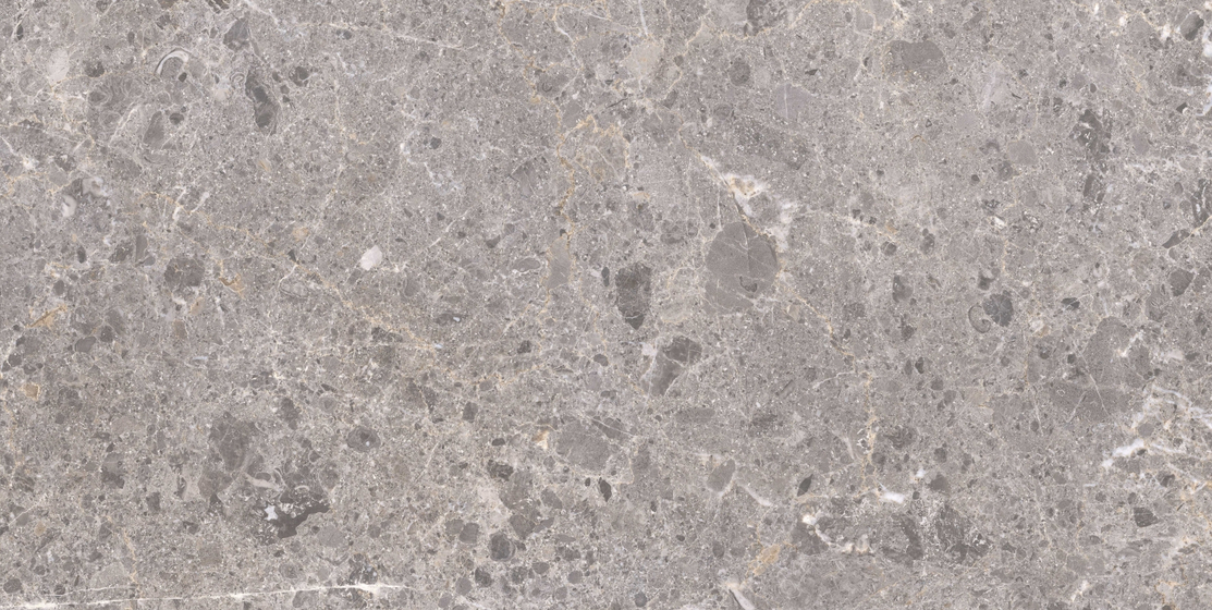 Artic Gris Pul. керамогранит Grespania 59x119