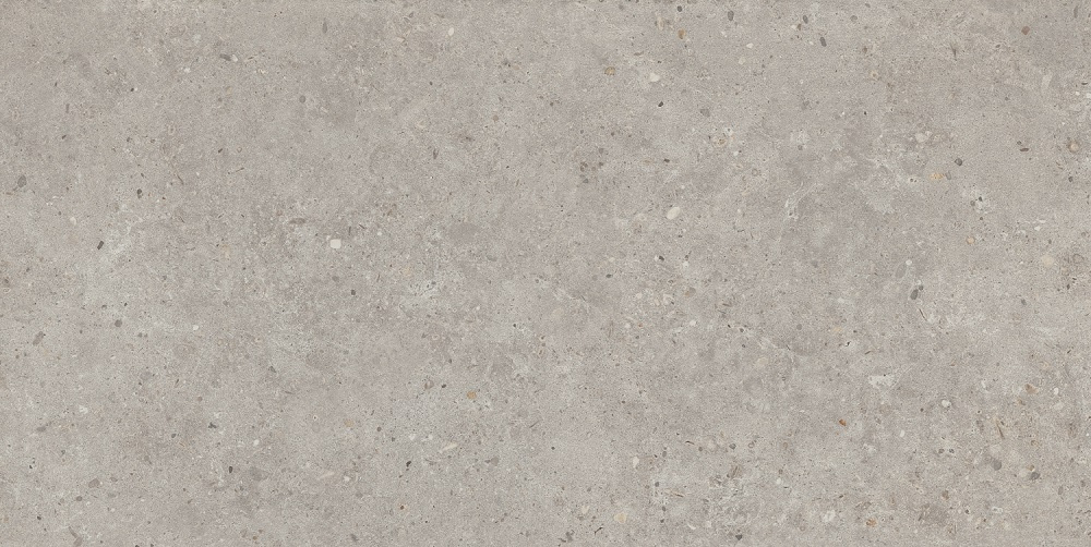 SG519920R Риккарди серый светлый  матовый обрезной Kerama Marazzi 60x119.5