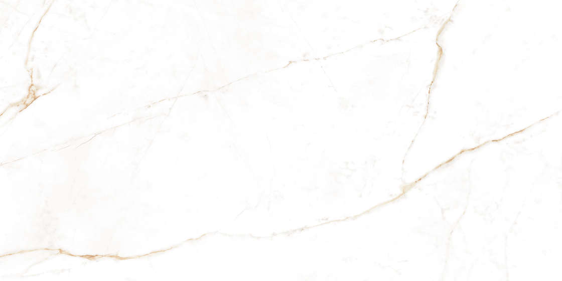 Dual White керамогранит Museum 60x120