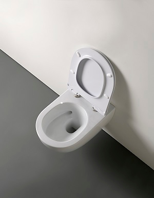 Унитаз подвесной Flaminia App Gosilent (AP118S + QKCW09) сидение микролифт, White 54х36х27