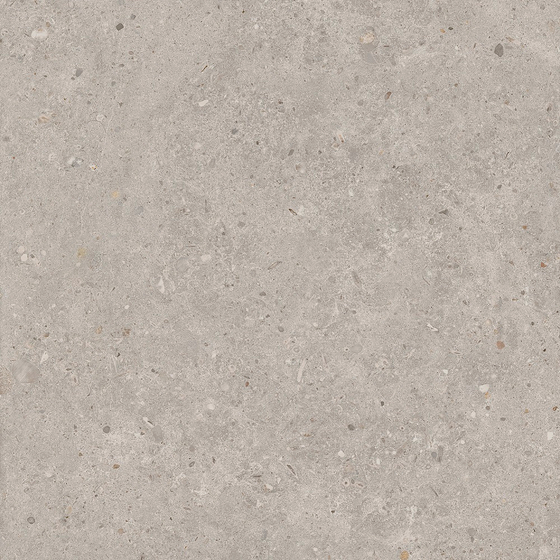 SG653720R Риккарди серый светлый матовый обрезной Kerama Marazzi 60x60
