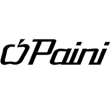 Paini