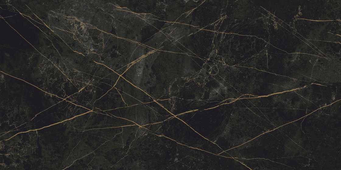 Граните Сандра Черно-Оливковый (Black Olive) MR Матовая 60x120