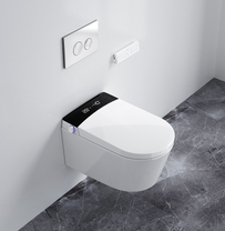 Подвесной унитаз-биде HW T3, White в комплекте с рамой и клавишей хром