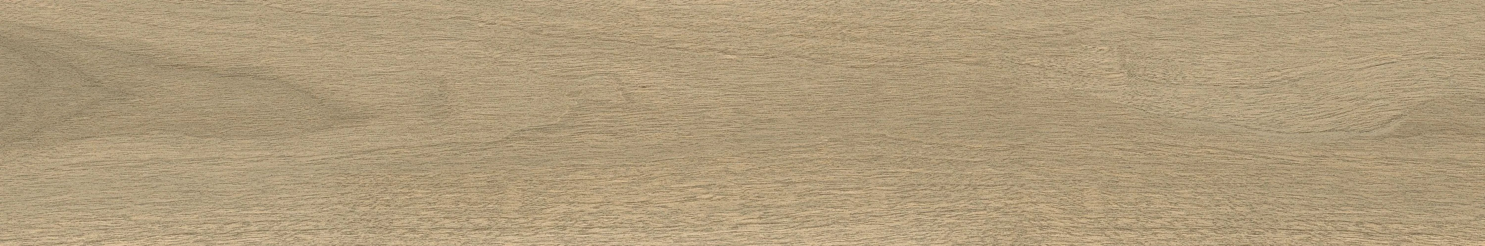 Бормио Хани керамогранит Coliseumgres 20x120