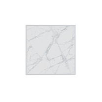 Безынерционная отопительная панель: размер  60х60 300±50 Вт цвет W. CT-60/610015000496/W