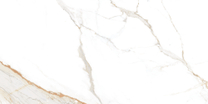 Praline Gold  NT 60x120 Museum 60x120