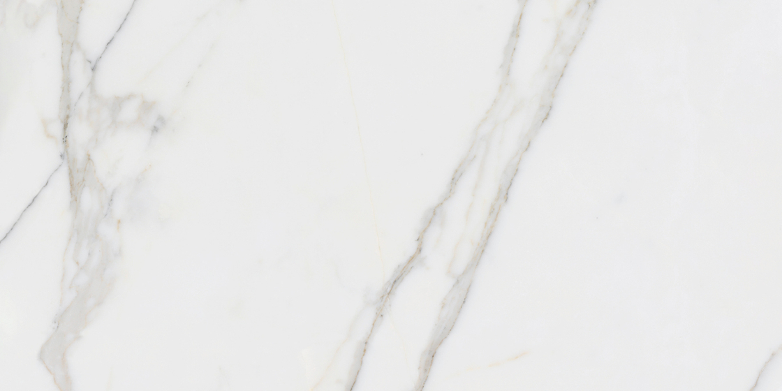 Паллисандро Гриджио MR Матовый 60x120