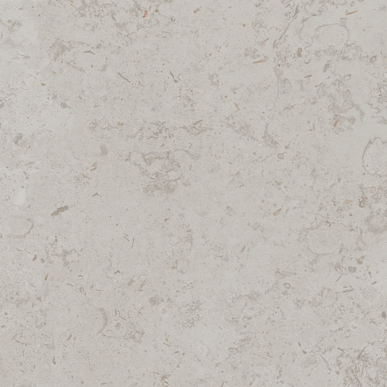 DD641020R Про Лаймстоун серый светлый натуральный обрезной Kerama Marazzi 60x60