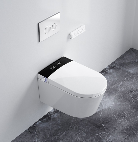 Подвесной унитаз-биде HW T3, White в комплекте с рамой и клавишей хром