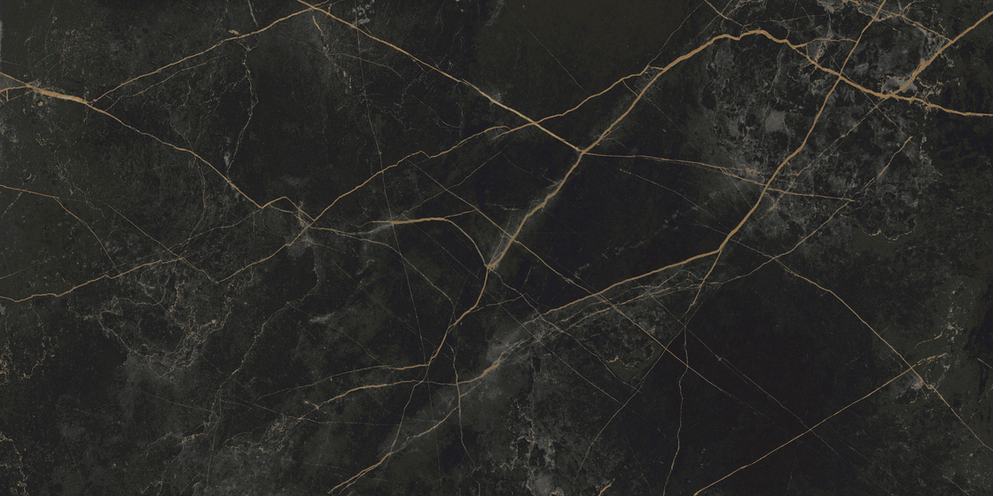 Граните Сандра Черно-Оливковый (Black Olive) MR Матовая 60x120