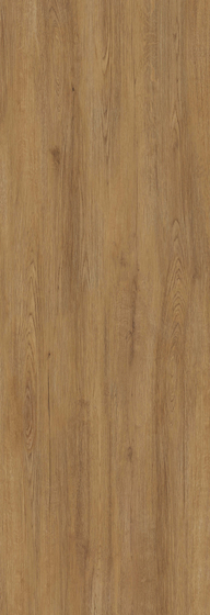 Jungla Iroco керамогранит Coverlam 120х260