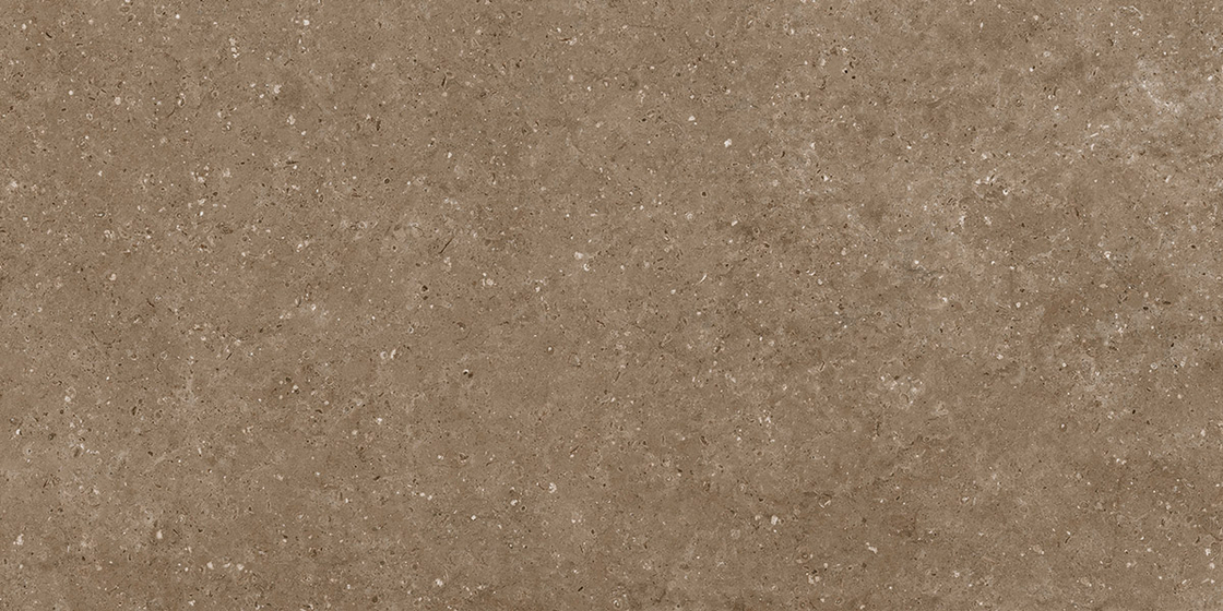 Керамогранит Гранитея G214R Arkaim Brown  матовый 60x120