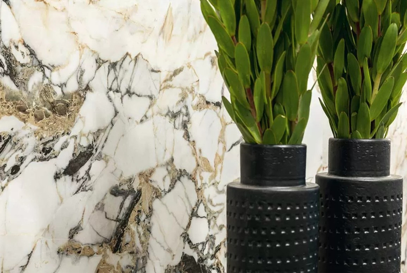 Etoile Symphonie Glo. 6 mm Rex  120x240