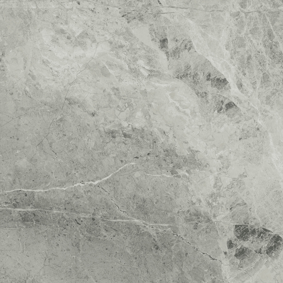 Charme Extra Silver керамогранит Italon 60x60