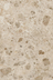 Continuum Stone Beige керамогранит Italon 120х278