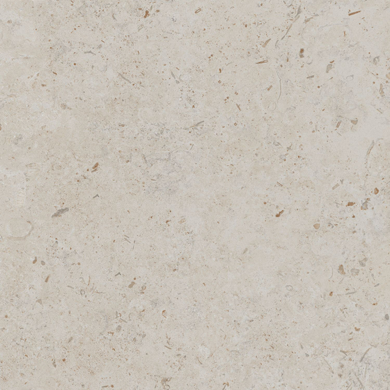 DD641220R Про Лаймстоун бежевый натуральный обрезной Kerama Marazzi 60x60